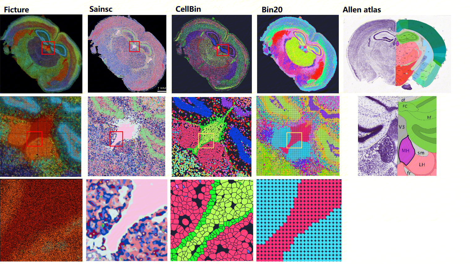 Figure 4. Comparative analysis of unsupervised clustering performance among Ficture, Saincsc, cellbin, and Bin20 on mouse brain samples with detailed visualization